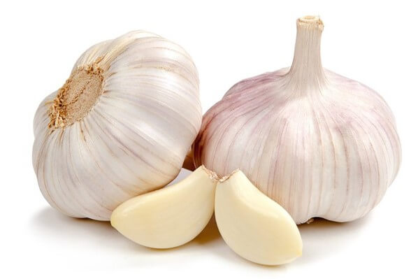 Garlic